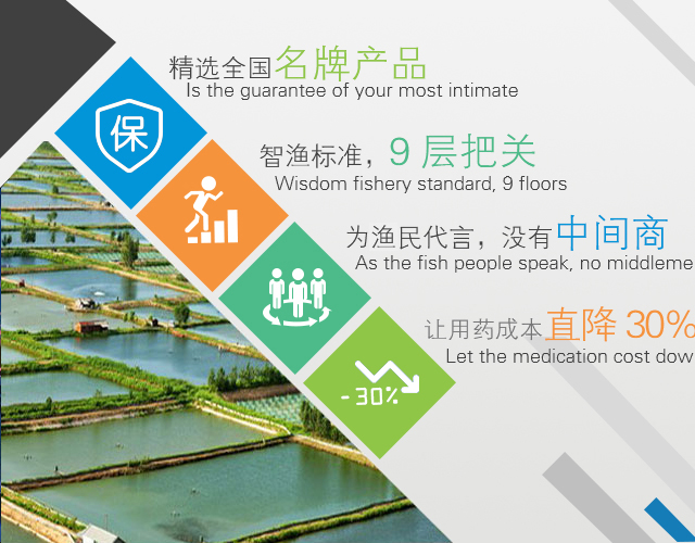 &#30343;&#20896;