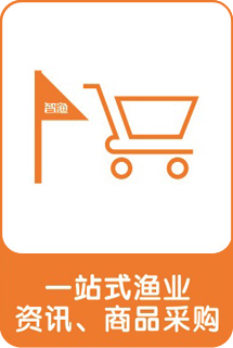 &#30343;&#20896;